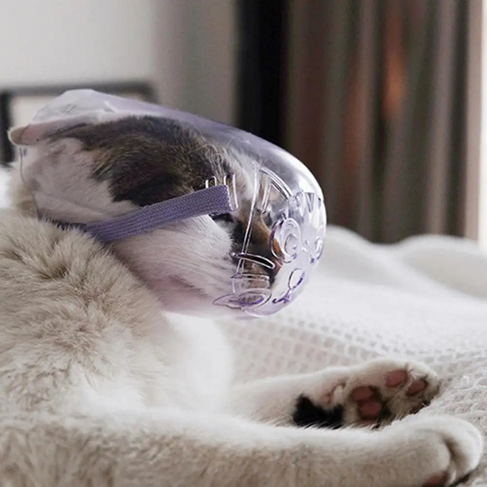 cat mask